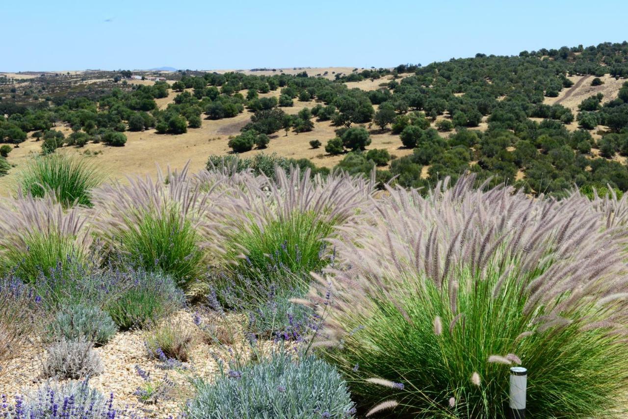 Vistas - Herdade Do Zambujal Castro Verde Εξωτερικό φωτογραφία